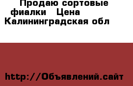 Продаю сортовые фиалки › Цена ­ 30-100 - Калининградская обл.  »    